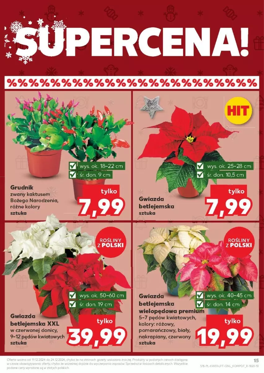 Gazetka promocyjna Kaufland - ważna 19.12 do 24.12.2024 - strona 8 - produkty: Gwiazda, Kaktus