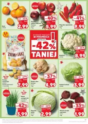 Gazetka promocyjna Kaufland - Gazetka - ważna od 24.12 do 24.12.2024 - strona 10 - produkty: Kalafior, Sałata lodowa, Papryka, Ziemniaki, Sałat, Buraki, Szpic, Jabłka