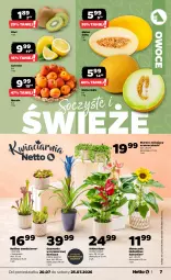 Gazetka promocyjna Netto - Od Poniedziałku - Gazetka - ważna od 25.07 do 25.07.2026 - strona 7 - produkty: Morela, Sati, Kiwi, Owoce, Melon