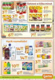 Gazetka promocyjna Gama - Gazetka Gama - Gazetka - ważna od 20.02 do 20.02.2024 - strona 9 - produkty: Piec, Domestos, Warzywa, Sos, Zupa, Worki na śmieci, Kisiel, Winiary, Płyn do płukania, Rosół, Kostka do wc, Worki na śmiec, Lenor, Budyń, Knorr, Hortex