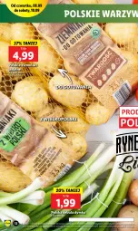 Gazetka promocyjna Lidl - GAZETKA - Gazetka - ważna od 10.09 do 10.09.2022 - strona 12 - produkty: Cebula, Ziemniaki