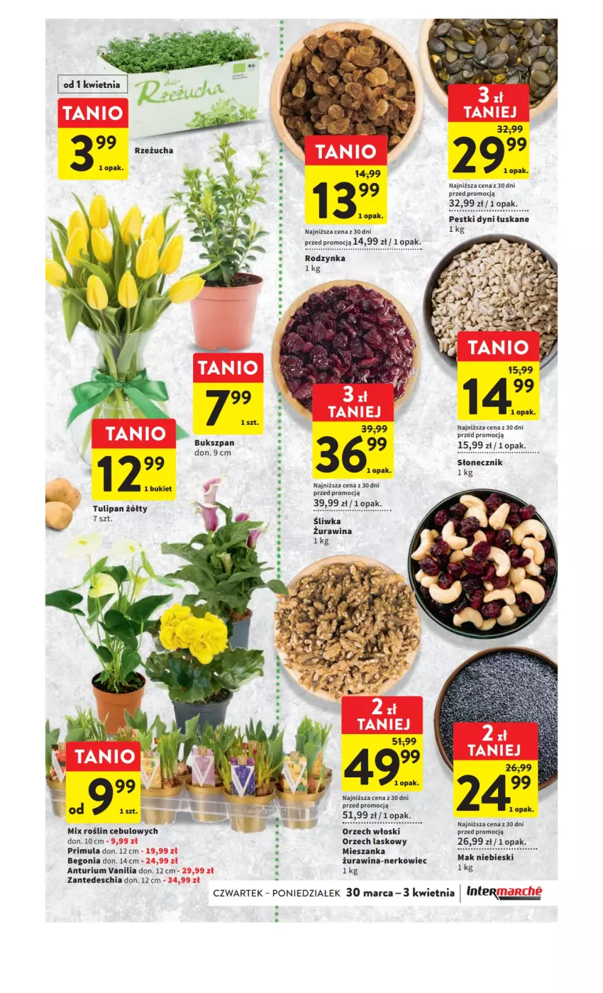 Gazetka promocyjna Intermarche - Gazetka Intermarche - ważna 30.03 do 03.04.2023 - strona 23 - produkty: Bukiet, Chia, Pestki dyni, Primula, Rzeżucha, Tulipan