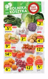 Gazetka promocyjna Intermarche - Gazetka Intermarche - Gazetka - ważna od 03.04 do 03.04.2023 - strona 22 - produkty: Ogórek, Siatka, Wino, Grunt