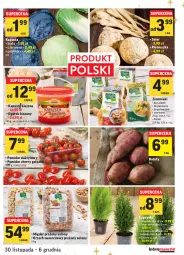 Gazetka promocyjna Intermarche - Gazetka promocyjna - Gazetka - ważna od 06.12 do 06.12.2021 - strona 23 - produkty: Piec, Top, Pietruszka, Ogórek, Ziemniaki, Sałat
