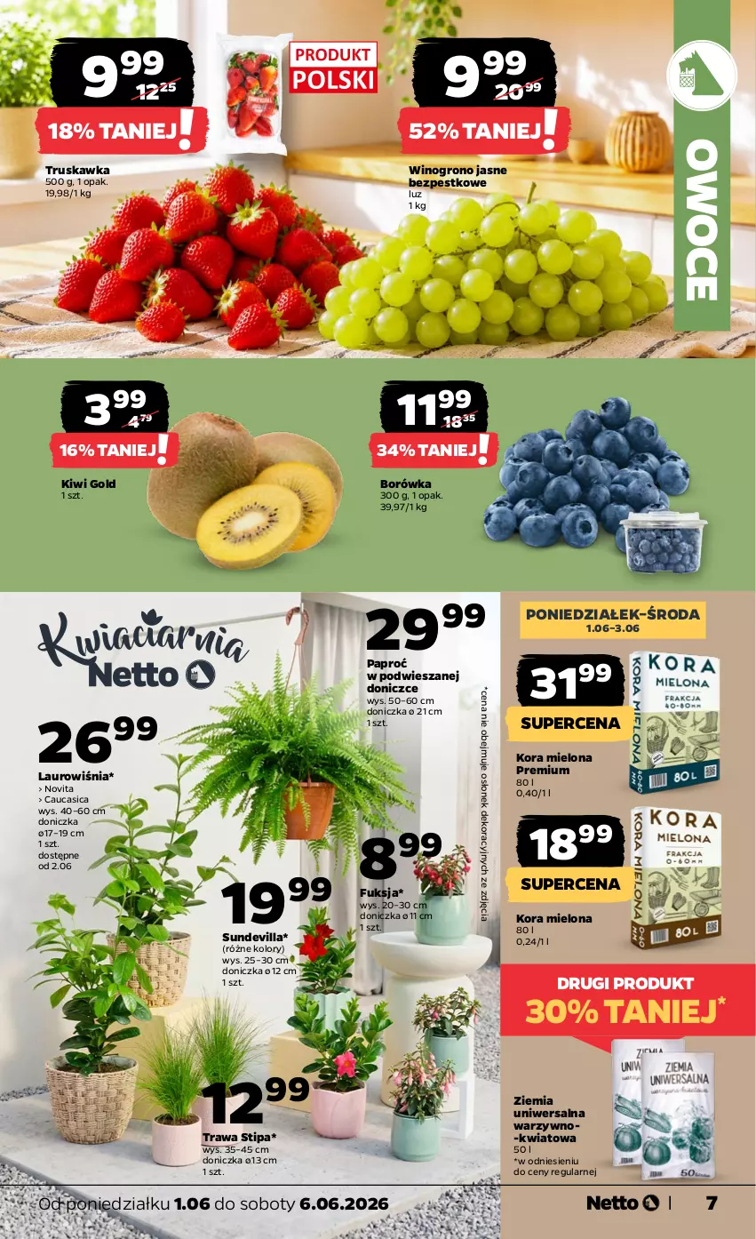 Gazetka promocyjna Netto - Od Poniedziałku - ważna 01.06 do 06.06.2026 - strona 7 - produkty: Borówka, Kiwi, Laur, Owoce, Wino