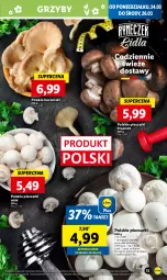 Gazetka promocyjna Lidl - GAZETKA - Gazetka - ważna od 26.03 do 26.03.2025 - strona 15 - produkty: Piec, Grzyby, Boczniak
