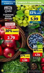 Gazetka promocyjna Lidl - GAZETKA - Gazetka - ważna od 26.03 do 26.03.2025 - strona 16 - produkty: Warzywa, Rukola, Winogrona, Owoce, Wino, Jabłka