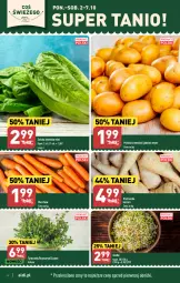 Gazetka promocyjna Aldi - Pełna oferta - Gazetka - ważna od 07.10 do 07.10.2023 - strona 4 - produkty: Pietruszka, Ziemniaki, Sałat, Kiełki