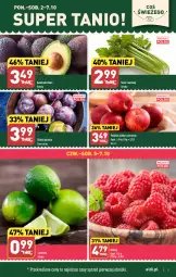 Gazetka promocyjna Aldi - Pełna oferta - Gazetka - ważna od 07.10 do 07.10.2023 - strona 5 - produkty: Maliny, Limonka, Seler naciowy, Jabłka