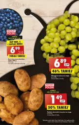 Gazetka promocyjna Biedronka - Od czwartku - Gazetka - ważna od 09.08 do 09.08.2023 - strona 19 - produkty: Sok, Koc, Borówka, Borówka amerykańska, Ziemniaki, Fa