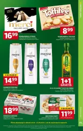 Gazetka promocyjna Stokrotka - Supermarket - Gazetka - ważna od 11.09 do 11.09.2024 - strona 27 - produkty: Kujawski, Gra, Pantene, Lack, Czekolada, Szampon, Toffifee, Olej, Merci