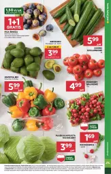 Gazetka promocyjna Stokrotka - Supermarket - Gazetka - ważna od 11.09 do 11.09.2024 - strona 7 - produkty: Warzywa, Por, Gra, Papryka, Owoce, Pomidory, Rzodkiewka, Mięso