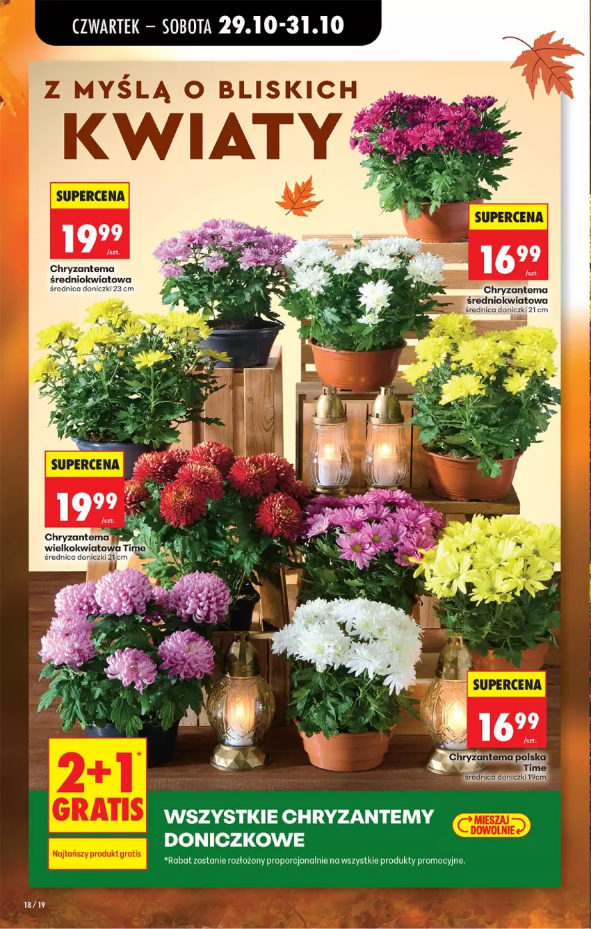 Gazetka promocyjna Biedronka - Od Czwartku - ważna 29.10 do 04.11.2026 - strona 25 - produkty: Chryzantema, Por