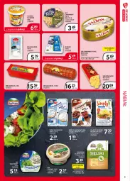Gazetka promocyjna Selgros - Extra Oferta - Gazetka - ważna od 30.09 do 30.09.2021 - strona 9 - produkty: Ser topiony, Top, Ser, Salami, Twaróg, Królewski, Brie, Serek kanapkowy, Sałat, Serek, Camembert, Ser kozi, Rolada, Ser salami, Gouda