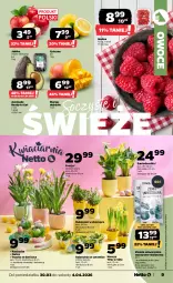 Gazetka promocyjna Netto - Od Poniedziałku - Gazetka - ważna od 04.04 do 04.04.2026 - strona 9 - produkty: Ser, Rzeżucha, Chia, Kalanchoe, Narcyz, Owoce, Mango