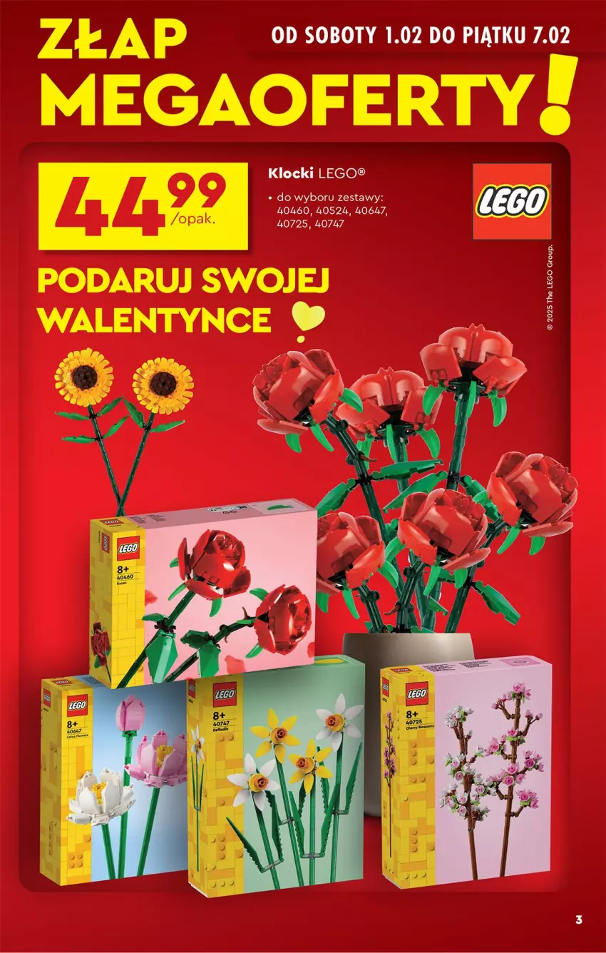 Gazetka promocyjna Biedronka - Okazje Tygodnia - ważna 01.02 do 15.02.2025 - strona 3 - produkty: Klocki, LEGO