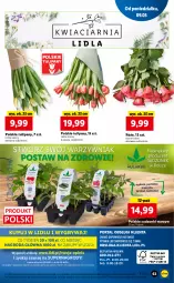 Gazetka promocyjna Lidl - GAZETKA - Gazetka - ważna od 11.05 do 11.05.2022 - strona 63 - produkty: Gry, Tulipan, Papryka, Ogórek, Zdrowie, Mola