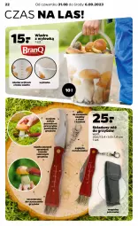 Gazetka promocyjna Netto - Akcesoria i dodatki - Gazetka - ważna od 06.09 do 06.09.2023 - strona 6 - produkty: Miarka, Wiadro, Pokrowiec, Szczoteczka