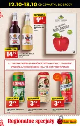 Gazetka promocyjna Biedronka - Od czwartku - Gazetka - ważna od 18.10 do 18.10.2023 - strona 41 - produkty: Piwo, Sok, Sok jabłkowy, Imbir