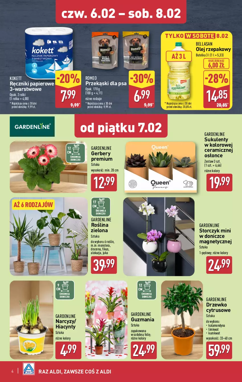 Gazetka promocyjna Aldi - Okazje na weekend - ważna 06.02 do 08.02.2025 - strona 4 - produkty: Bell, Bella, Gerber, Hiacynt, Kumkwat, Narcyz, Olej, Olej rzepakowy, Papier, Przekąski dla psa, Ręcznik, Ręczniki papierowe, Rolki, Sok, Storczyk, Sukulent, Tera