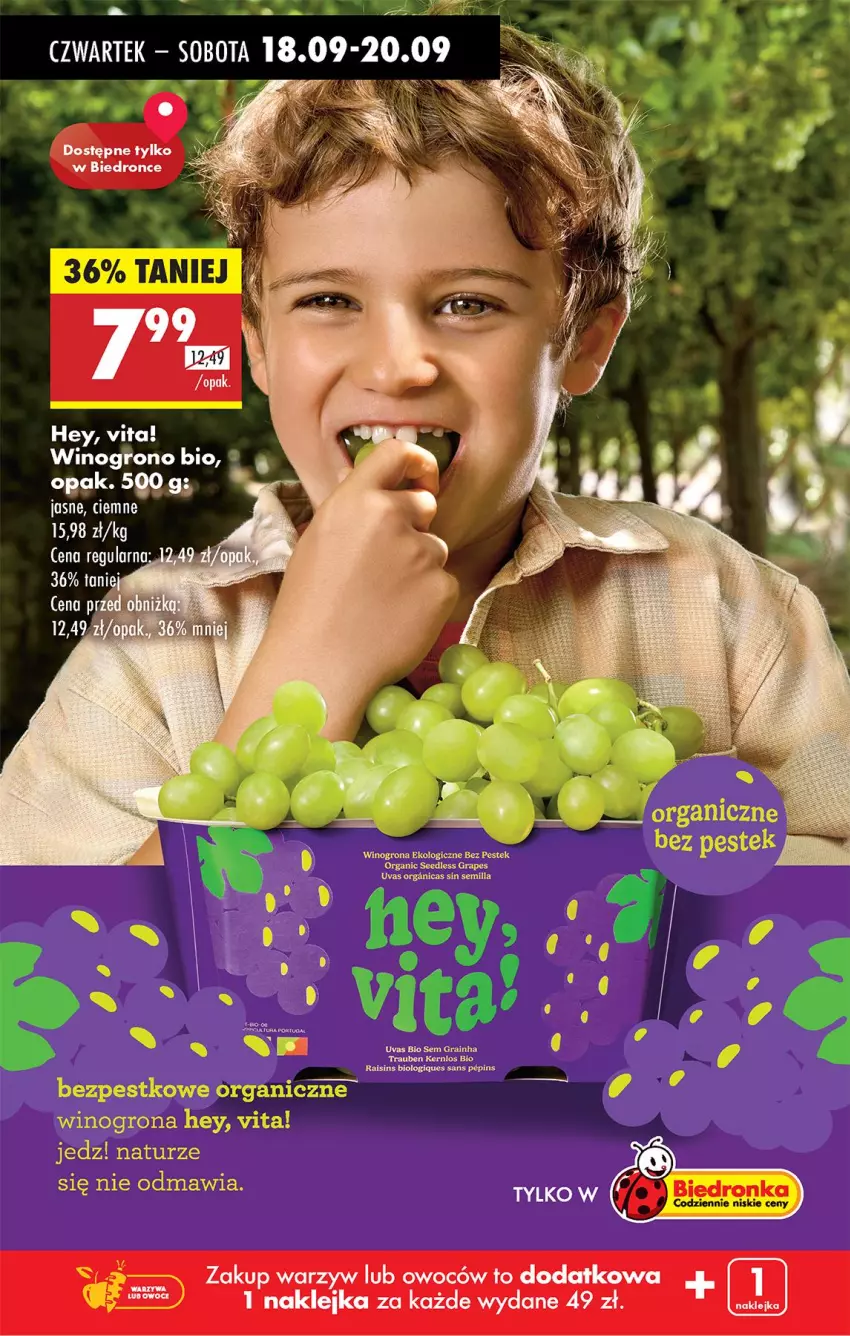 Gazetka promocyjna Biedronka - Od Czwartku - ważna 18.09 do 24.09.2025 - strona 76 - produkty: Gra, Klej, Wino, Winogrona