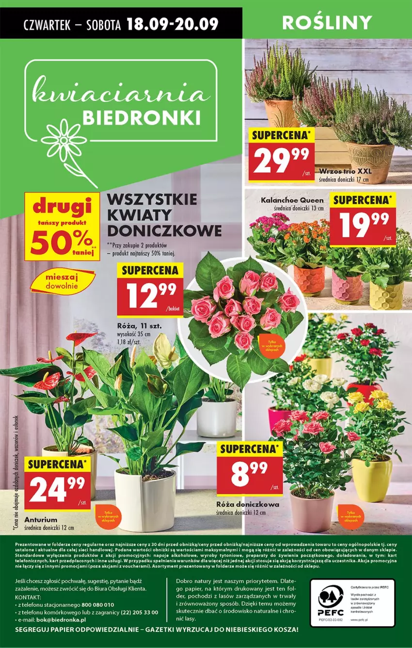 Gazetka promocyjna Biedronka - Od Czwartku - ważna 18.09 do 24.09.2025 - strona 77 - produkty: Gra, Kalanchoe, Kosz, Napoje, Papier, Sok, Telefon, Wazon