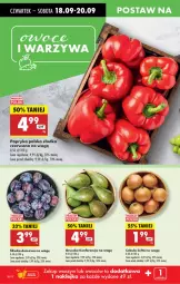 Gazetka promocyjna Biedronka - Od Czwartku - Gazetka - ważna od 24.09 do 24.09.2025 - strona 16 - produkty: Cebula, Papryka