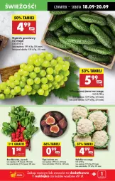 Gazetka promocyjna Biedronka - Od Czwartku - Gazetka - ważna od 24.09 do 24.09.2025 - strona 17 - produkty: Kalafior, Ogórek, Grunt, Rzodkiewka