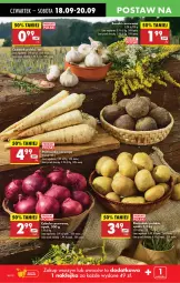 Gazetka promocyjna Biedronka - Od Czwartku - Gazetka - ważna od 24.09 do 24.09.2025 - strona 18 - produkty: Cebula czerwona, Cebula, Pietruszka, Klej, Buraki, Flaki, Fa