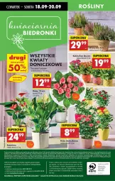 Gazetka promocyjna Biedronka - Od Czwartku - Gazetka - ważna od 24.09 do 24.09.2025 - strona 77 - produkty: Sok, Gra, Telefon, Papier, Kosz, Kalanchoe, Napoje, Wazon
