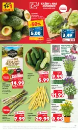 Gazetka promocyjna Kaufland - Gazetka tygodnia - Gazetka - ważna od 14.06 do 14.06.2023 - strona 13 - produkty: Sok, Gra, Sałata lodowa, Dzwonek, Siatka, Sałat, Bukiet, Grunt, Fa
