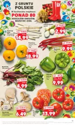 Gazetka promocyjna Kaufland - Gazetka tygodnia - Gazetka - ważna od 14.06 do 14.06.2023 - strona 15 - produkty: Cebula, Inka, Papryka, Grunt, Pomidory, Boczniak