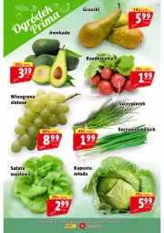 Gazetka promocyjna Prim Market - Gazetka - ważna od 15.05 do 15.05.2024 - strona 6 - produkty: Sałata masłowa, Sałat, Gruszki, Winogrona, Wino, Masło