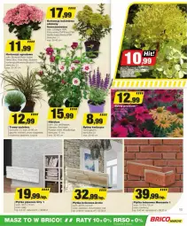Gazetka promocyjna Bricomarche - Gazetka - ważna od 27.07 do 27.07.2024 - strona 3 - produkty: Hibiskus, Płytka, Bukiet, Miska