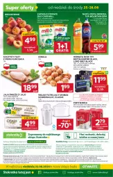 Gazetka promocyjna Stokrotka - Supermarket - Gazetka - ważna od 28.08 do 28.08.2024 - strona 31 - produkty: Piwa, Piwo, Kurczak, Cebula, JBL, Gra, 7up, Telefon, Filet z piersi kurczaka, Brit, Jaja, Mirinda, Warka, Dres, Lack, Pepsi, Brzoskwinie, Wkład filtrujący, Herbata, Napój, HP