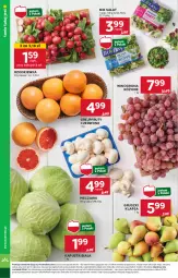 Gazetka promocyjna Stokrotka - Supermarket - Gazetka - ważna od 28.08 do 28.08.2024 - strona 8 - produkty: Piec, Sałat, Gruszki, Winogrona, Wino, Rzodkiewka, Grejpfrut, HP