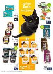 Gazetka promocyjna Carrefour - Gazetka Dla przyjaciół wszystko mamy - Gazetka - ważna od 27.02 do 27.02.2021 - strona 5 - produkty: Pur, Iams, Purina, Sheba