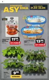 Gazetka promocyjna Netto - Artykuły spożywcze - Gazetka - ważna od 26.04 do 26.04.2023 - strona 2 - produkty: Big Milk, Lody, Algida, Kiełbasa, Kiełbasa śląska, LG