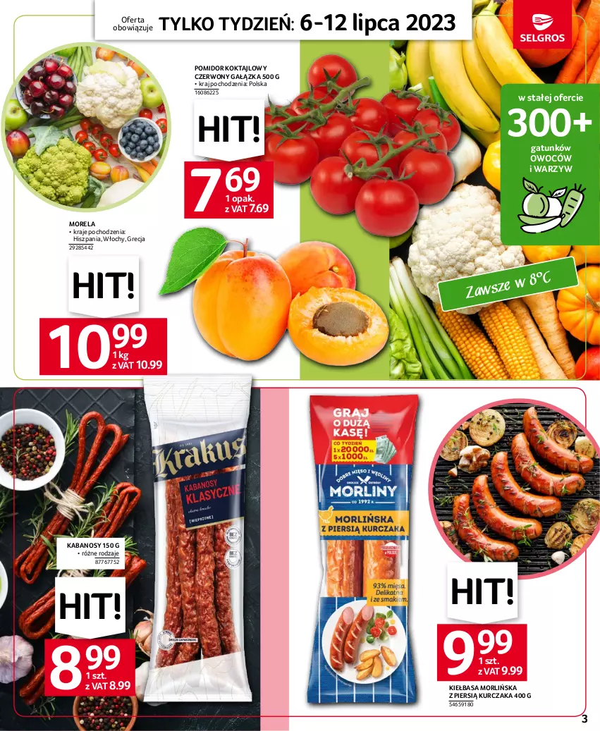 Gazetka promocyjna Selgros - Jeszcze więcej super promocji! - ważna 06.07 do 12.07.2023 - strona 3 - produkty: Kabanos, Kiełbasa, Kurczak, Morela