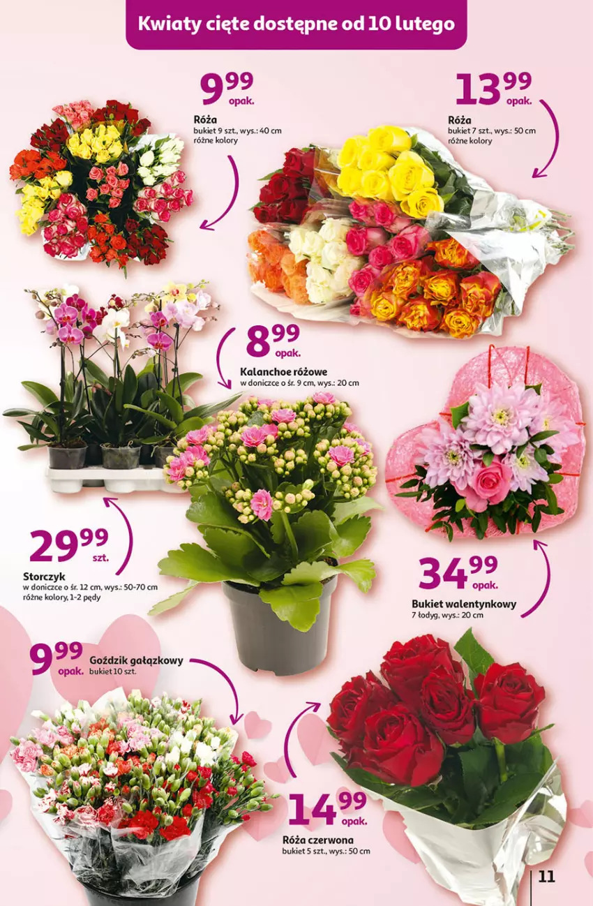 Gazetka promocyjna Auchan - Gazetka Koszyk Oszczędności Hipermarket Auchan - ważna 09.02 do 15.02.2023 - strona 11 - produkty: Bukiet, Kalanchoe, Róża, Storczyk