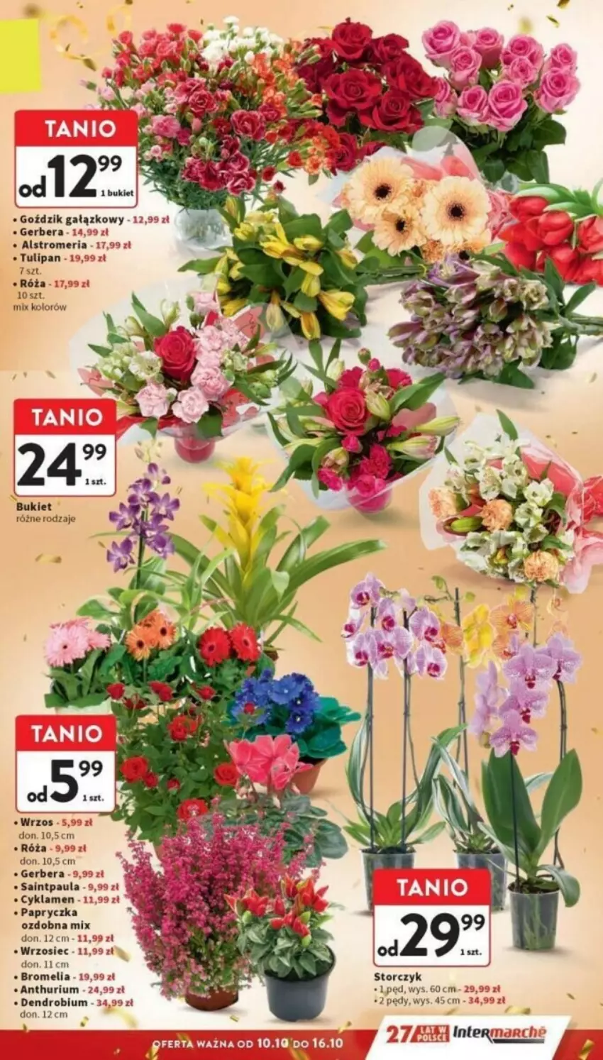 Gazetka promocyjna Intermarche - ważna 10.10 do 16.10.2024 - strona 48 - produkty: Bromelia, Bukiet, Cyklamen, Gerber, Róża, Storczyk, Tulipan