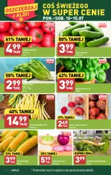 Gazetka promocyjna Aldi - Pełen katalog od 10.07 - Gazetka - ważna od 15.07 do 15.07.2023 - strona 2 - produkty: Cebula, Sałat, Buraki, Bazyl, Bazylia, Grunt, Pomidory, Fa