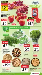 Gazetka promocyjna Intermarche - Gazetka promocyjna - Gazetka - ważna od 06.05 do 06.05.2026 - strona 21 - produkty: Sałata masłowa, Roszponka, Rukola, Sałat, Natka pietruszki, Wino, Masło, Mieszanka bakaliowa, Szpinak
