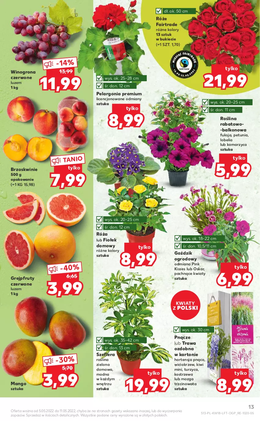 Gazetka promocyjna Kaufland - OFERTA TYGODNIA - ważna 05.05 do 11.05.2022 - strona 13 - produkty: Brzoskwinie, Fa, Grejpfrut, Kiwi, Mango, Róża, Wino, Winogrona