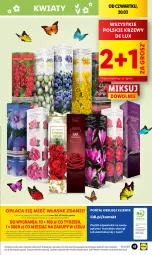 Gazetka promocyjna Lidl - GAZETKA - Gazetka - ważna od 22.03 do 22.03.2025 - strona 55 - produkty: Por, Gra, Portal, Laur, Mola