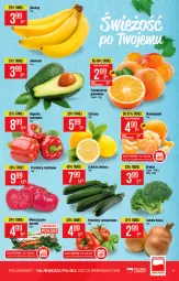 Gazetka promocyjna PoloMarket - Gazetka pomocyjna - Gazetka - ważna od 18.01 do 18.01.2022 - strona 5 - produkty: Banany, Cebula, Cytryny, Pomarańcze, Pomidory
