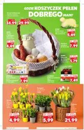 Gazetka promocyjna Kaufland - Oferta specjalna - Gazetka - ważna od 16.04 do 16.04.2022 - strona 20 - produkty: Chrzan, Ser, Tulipan, Jaja, Kosz, Narcyz, Masło, Kiełbasa, Olewnik