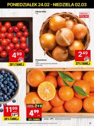 Gazetka promocyjna Delikatesy Centrum - NOWA GAZETKA Delikatesy Centrum od 24 lutego! 24.02-2.03.2025 - Gazetka - ważna od 02.03 do 02.03.2025 - strona 13 - produkty: Cebula, Pomarańcze
