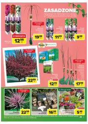 Gazetka promocyjna Carrefour - Gazetka Ogród - Wiwat Ekoaktywiści - Gazetka - ważna od 12.03 do 12.03.2022 - strona 3 - produkty: Flora