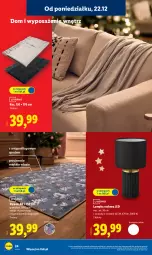Gazetka promocyjna Lidl - GAZETKA - Gazetka - ważna od 27.12 do 27.12.2025 - strona 28 - produkty: Koc, Gra, Rama, Ogrzewanie, Dywan